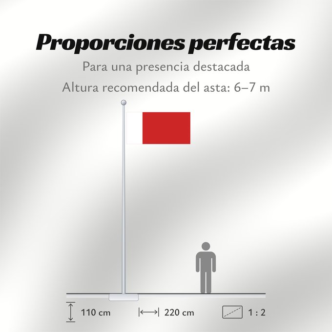 Proporciones de la bandera: Dubai	Dubaï