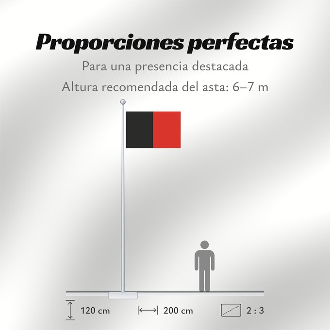 Proporciones de la bandera: Namur Province	Namur	Shows the flag of the province of Namur in Belgium