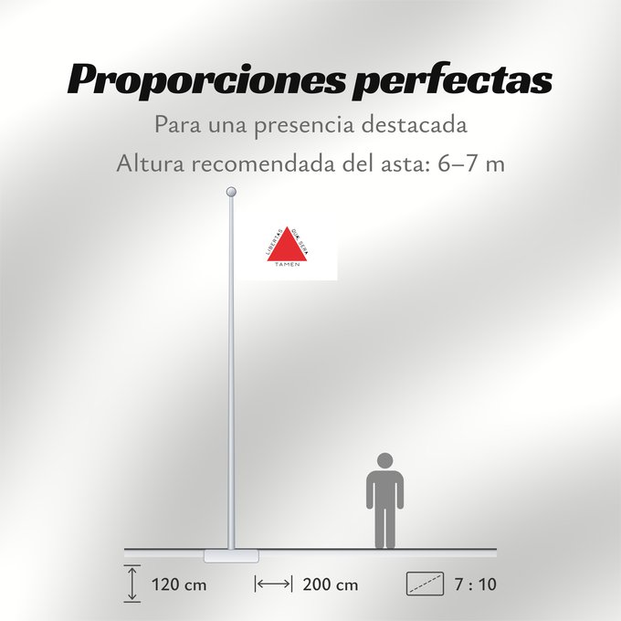 Proporciones de la bandera: Minas Gerais Brazilian state of Minas Gerais is based on state law 2793 from 8 January 1963, which describes the flag as follows In the centre of a white rectangle in the format 20 units by 14 units is a red equilateral triangle with a side length of 8 un