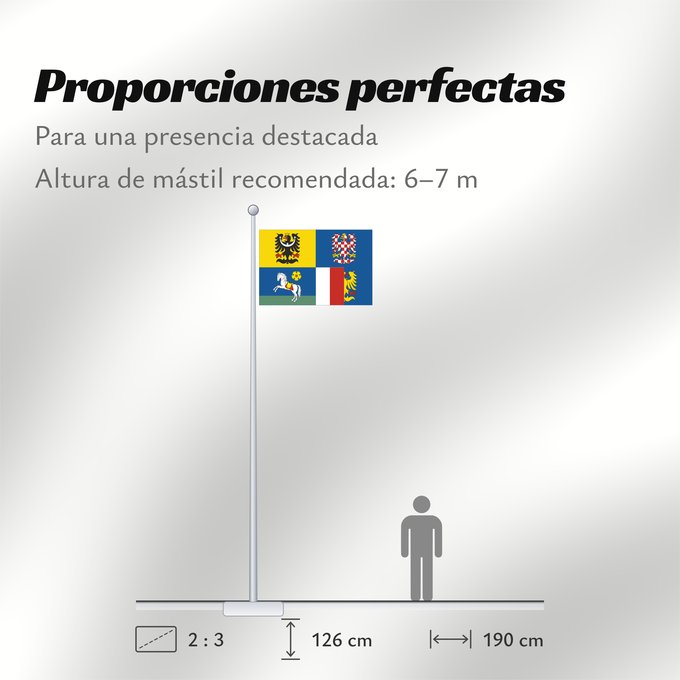 Proporciones de la bandera: Moravian-Silesian Region	Région de Moravie-Silésie	Región de Moravia-Silesia	Moravian-Silesian	Moravskoslezského kraje čtvrcený list v horním žerďovém žlutém poli slezská orlice v dolním žerďovém modrém poli na zeleném trávníku