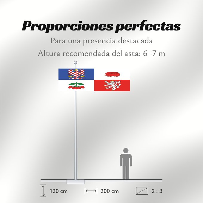 Proporciones de la bandera: Vysocina Region	Vysočina Region	Région de Vysočina	Región de Vysočina	Region Vysočina
