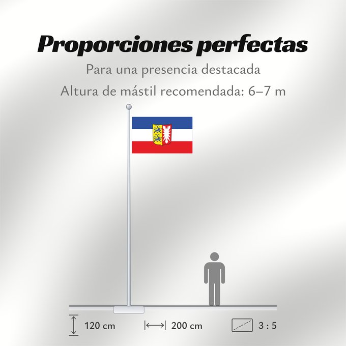 Proporciones de la bandera: Schleswig-Holstein