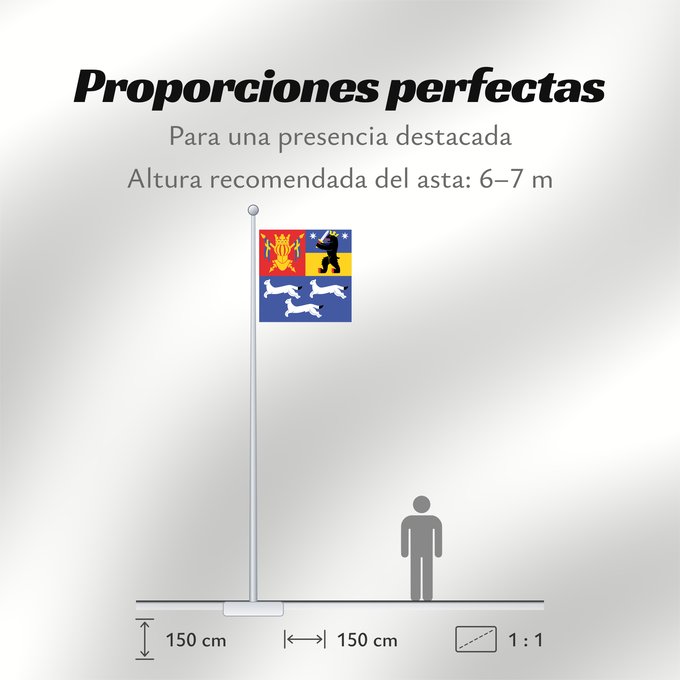 Proporciones de la bandera: Länsi-Suomen lääni