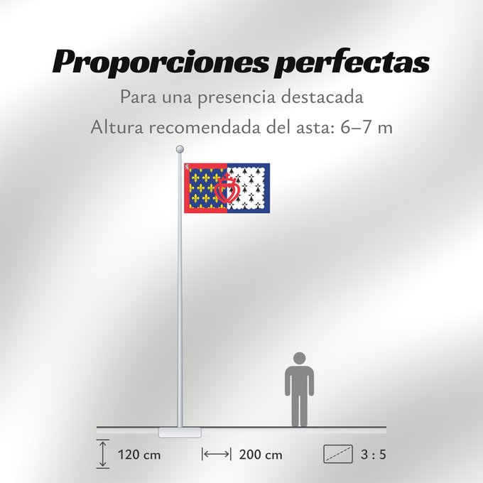 Proporciones de la bandera: Unofficial flag of Pays-de-la-Loire	Unofficial flag of the region Pays-de-la-Loire in France	Non officiel de la région Pays-de-la-Loire	Países del Loira	Pays de la Loire	Los Païses de Léger