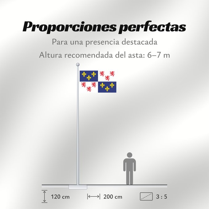 Proporciones de la bandera: Picardie	Region Picardie in France	Région Picardie en France	Picardo	Picard