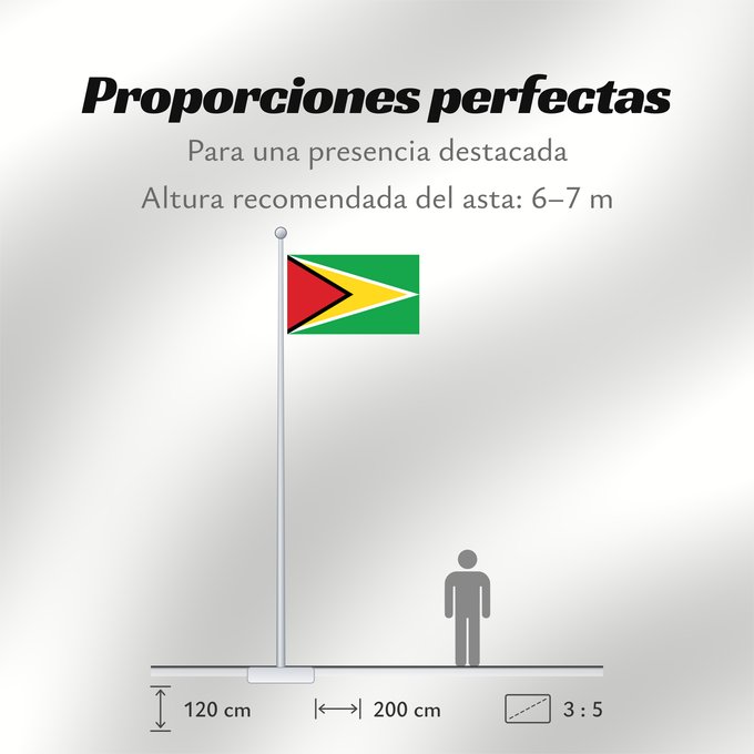 Proporciones de la bandera: Guyana	Guiana	Wayana wiphala	Gujano	Gwayana	Wayana unancha	Флаг Гайаны	Guyanas	Quốc kỳ Guyana