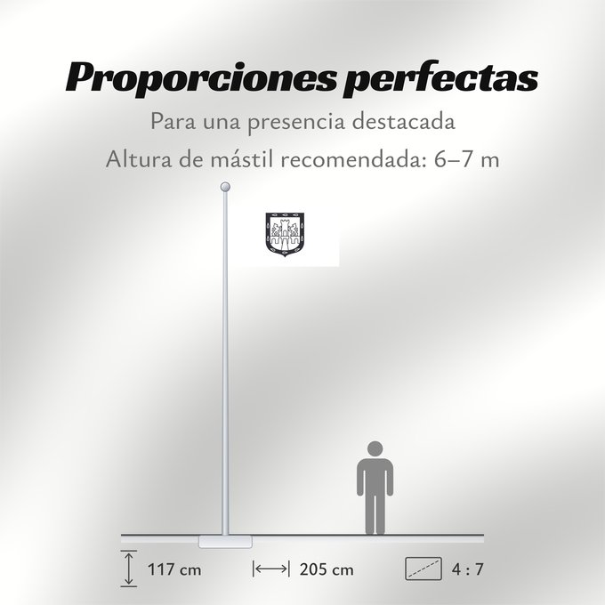 Proporciones de la bandera: Mexico City, Mexico	Mexico City (District)	Ciudad de México	Ciudad de México, México	Mexiko-Stadt	Città del Messico