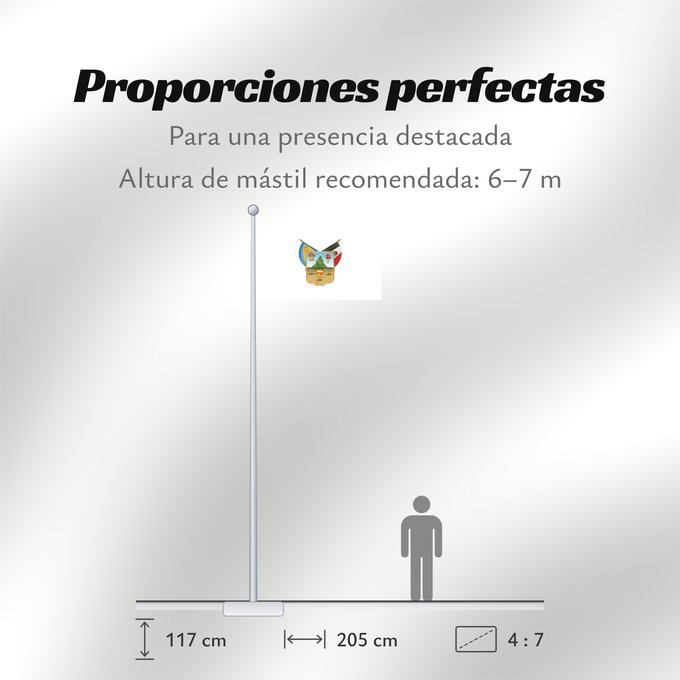 Proporciones de la bandera: Hidalgo	hidalgo y fidalgo