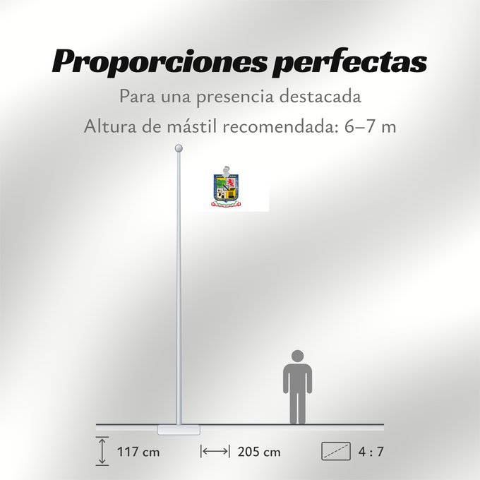 Proporciones de la bandera: Nuevo Leon Nuevo León