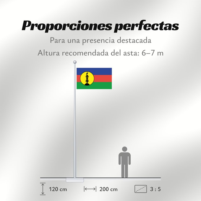 Proporciones de la bandera: FLNKS Kanak and Socialist National Liberation Front political party Front de libération nationale kanak et socialiste Colores Pantone http //www Neukaledonien Nuova Caledonia Front d Alliberament Nacional Canac Socialista