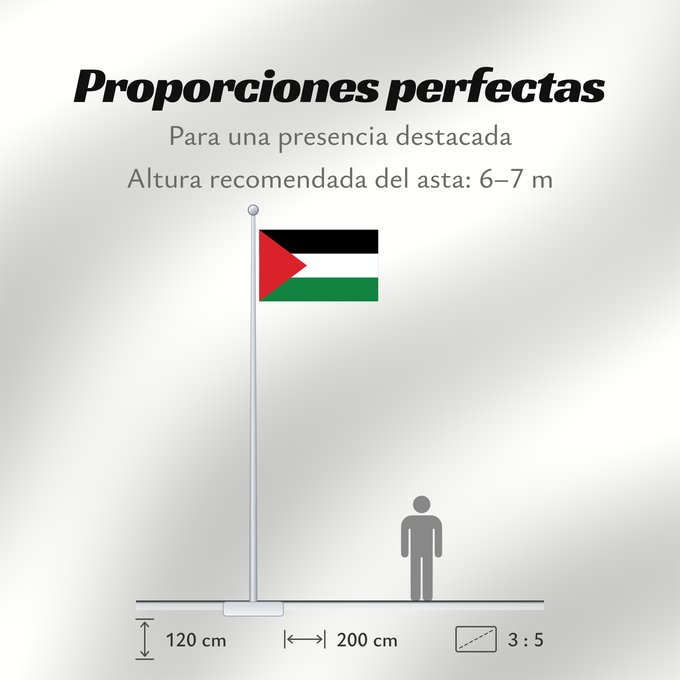 Proporciones de la bandera: Palestine State of Palestine L’État de Palestine Estado de Palestina Palästina Palestina علم فلسطين ফিলিস্তিনের পতাকা Palestino Dari Negara Palestina Флаг Государства Палестина