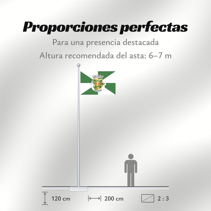 Proporciones de la bandera: Vila Real