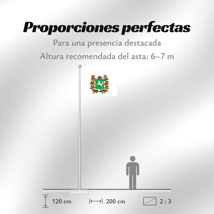 Proporciones de la bandera: Tomskaya oblast'