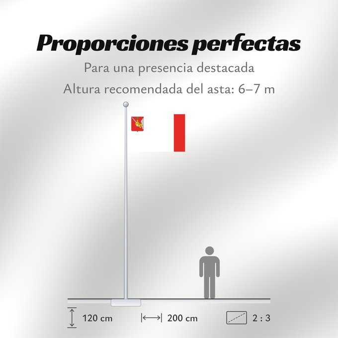 Proporciones de la bandera: Vologda Oblast	Vologda Oblast 	Oblast de Vologda	Óblast de Vólogda	Oblast Wologda