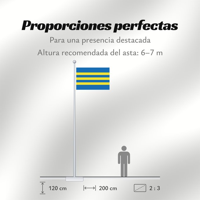 Proporciones de la bandera: Trnavsky vlajka	Trnava Region	Région de Trnava	Región de Trnava	Trnava	Trnava Regione