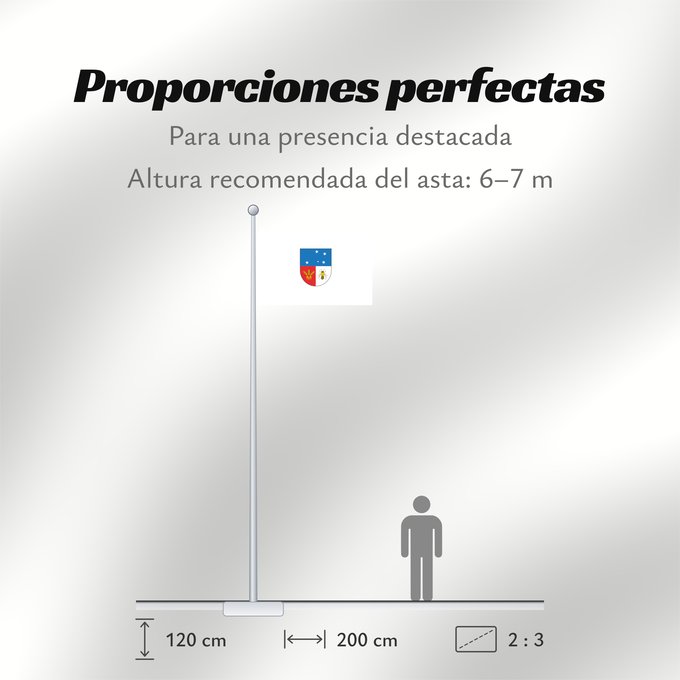Proporciones de la bandera: Colonia Department Colonia département de Colonia