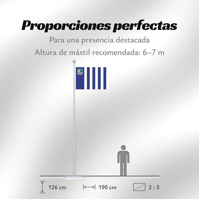 Proporciones de la bandera: Rivera Department Rivera