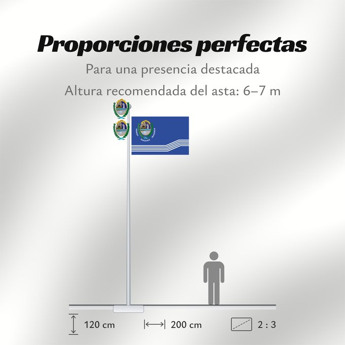 Proporciones de la bandera: Salto Department Salto Department Salto Departamento de Salto Salto (Departamento) Salto Dipartimento