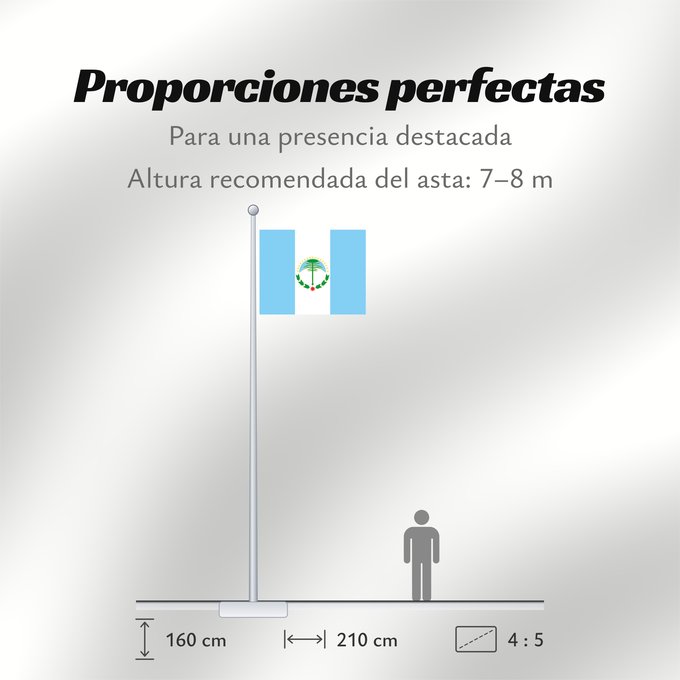 Proporciones de la bandera: Neuquén