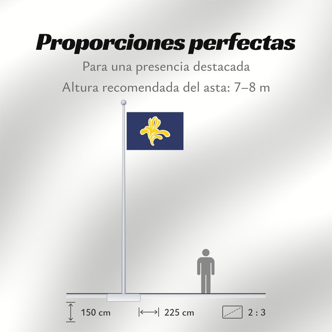 Proporciones de la bandera: Brussels-Capital Region 1991–2015 Brussels-Capital Region between 1991 and 2015 Brüssel Bruselas Bruxelles Fändel vun der Haaptstadregioun Bréissel Прапор Брюсселю