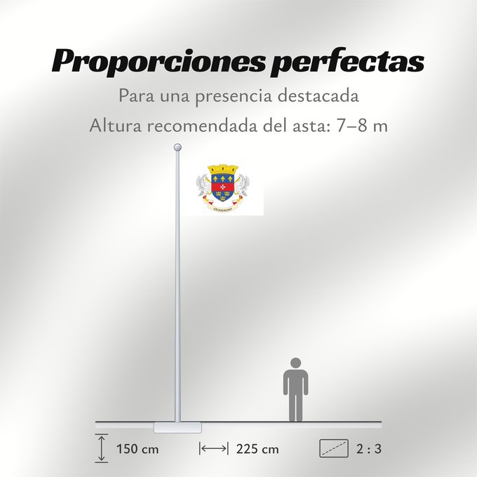 Proporciones de la bandera: Saint Barthélemy
