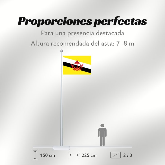 Proporciones de la bandera: Brunei	Brunei Darussalam	Brunéi	علم بروناي	Bruneis	Brunein	브루나이의 국기	Bruney	Brunei / بنديرا بروني	ဘရူနိုင်းနိုင်ငံ၏ အလံတော်	Флаг Брунея	Bruneja	புரூணை கொடி	ธงชาติบรูไนดารุสซาลาม	Watawat Brunay	Cờ Brunei	​文莱国旗