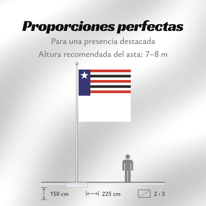 Proporciones de la bandera: Maranhão