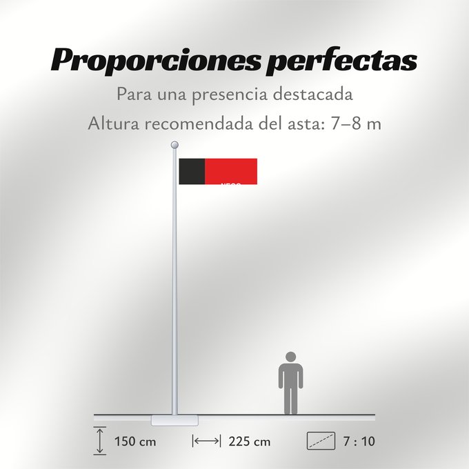 Proporciones de la bandera: Paraíba