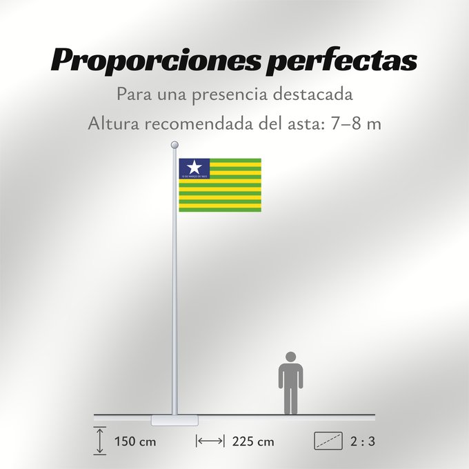 Proporciones de la bandera: Piauí