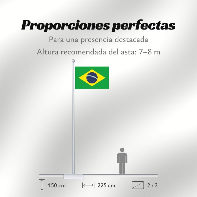 Proporciones de la bandera: Brazil	Brésil	Brasil	Brasilien	Brasile