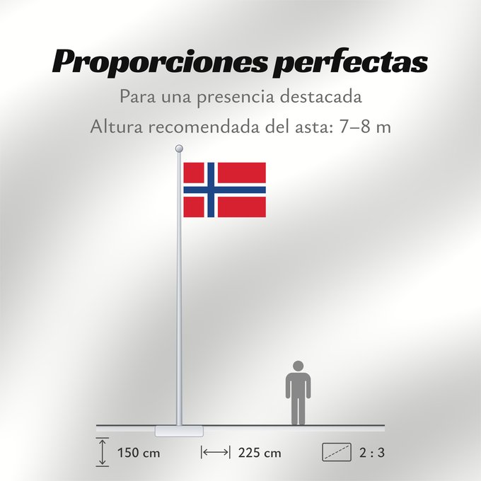 Proporciones de la bandera: Bouvet Island