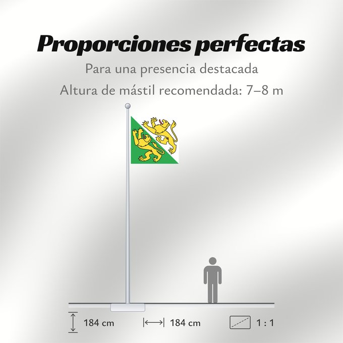 Proporciones de la bandera: Canton of Thurgau	Thurgau	canton de Thurgovie	cantón de Turgovia	Canton of Thurgau in Switzerland