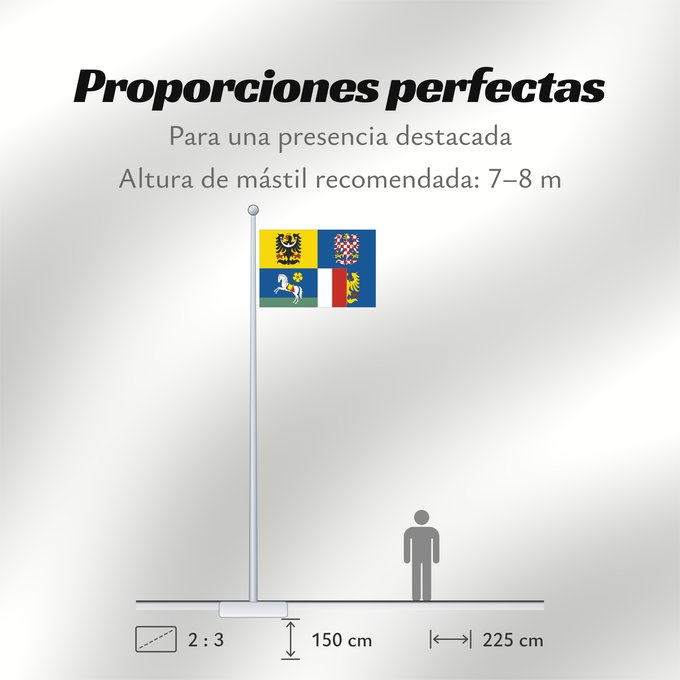 Proporciones de la bandera: Moravian-Silesian Region	Région de Moravie-Silésie	Región de Moravia-Silesia	Moravian-Silesian	Moravskoslezského kraje čtvrcený list v horním žerďovém žlutém poli slezská orlice v dolním žerďovém modrém poli na zeleném trávníku