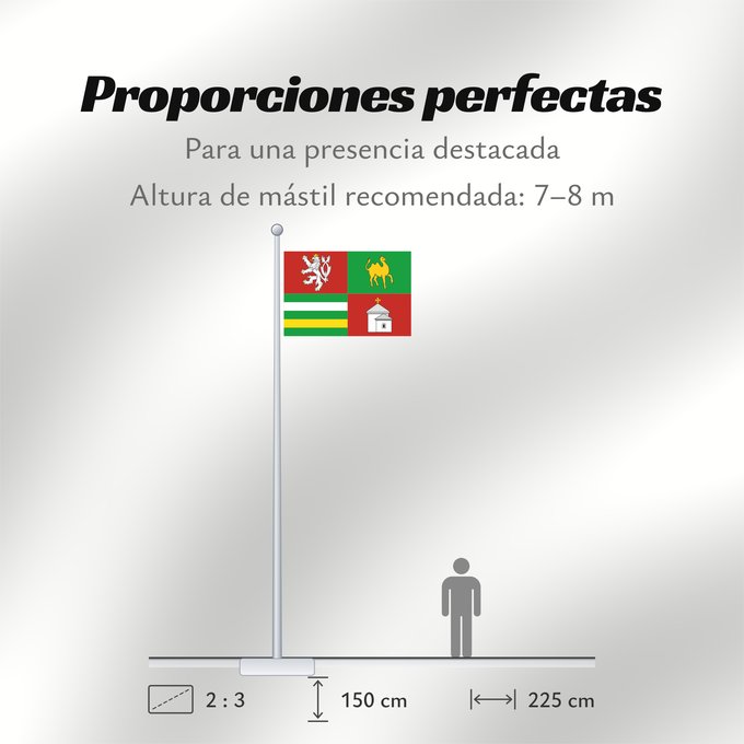 Proporciones de la bandera: Plzen Region	Plzeň Region	Région de Plzeň	Región de Pilsen	„Region Pilsen
