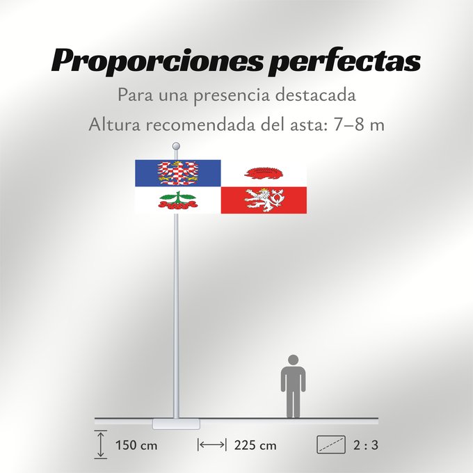 Proporciones de la bandera: Vysocina Region	Vysočina Region	Région de Vysočina	Región de Vysočina	Region Vysočina
