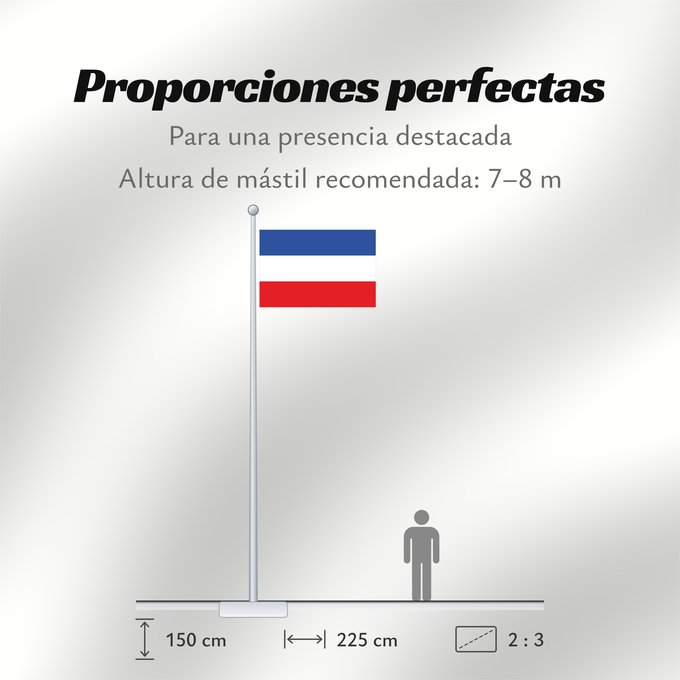 Proporciones de la bandera: Schleswig-Holstein
