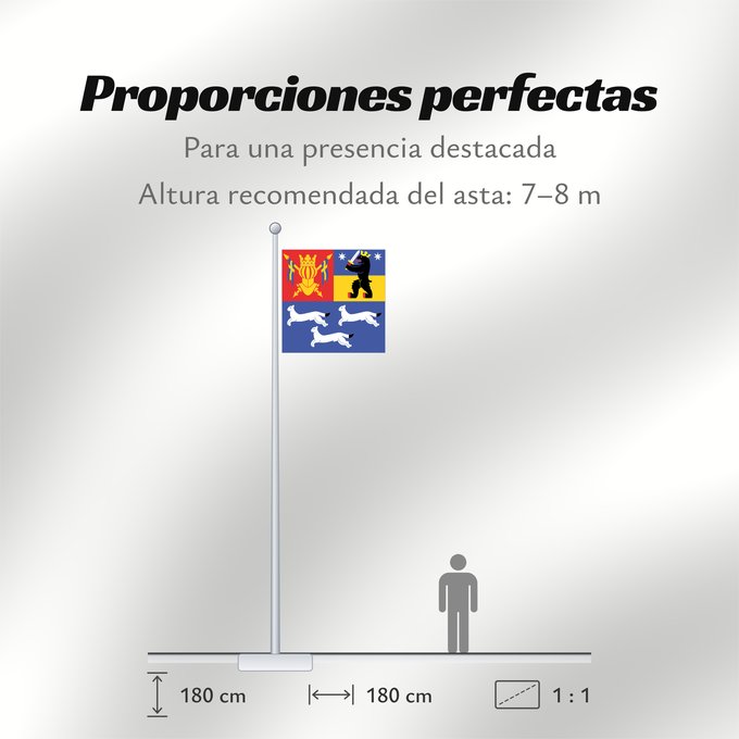 Proporciones de la bandera: Länsi-Suomen lääni