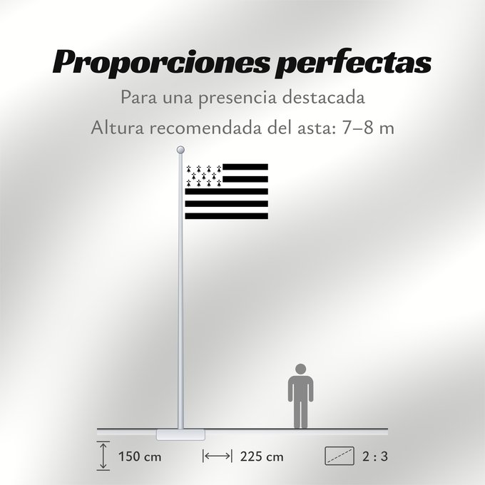 Proporciones de la bandera: Brittany	The Gwenn-ha-du, flag of Brittany	Le Gwenn-ha-du, drapeau de la Bretagne	Spaniel Bretón	Bretagna	Ar Gwenn-ha-du, banniel Breizh