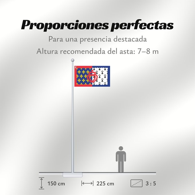 Proporciones de la bandera: Unofficial flag of Pays-de-la-Loire	Unofficial flag of the region Pays-de-la-Loire in France	Non officiel de la région Pays-de-la-Loire	Países del Loira	Pays de la Loire	Los Païses de Léger