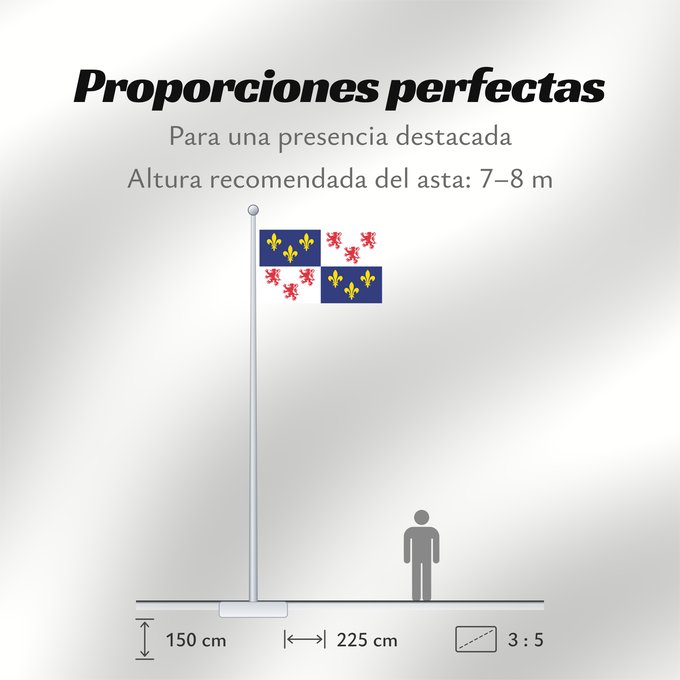 Proporciones de la bandera: Picardie	Region Picardie in France	Région Picardie en France	Picardo	Picard