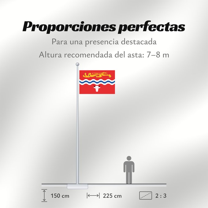 Proporciones de la bandera: Herefordshire