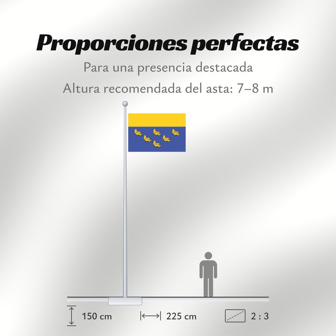 Proporciones de la bandera: West Sussex