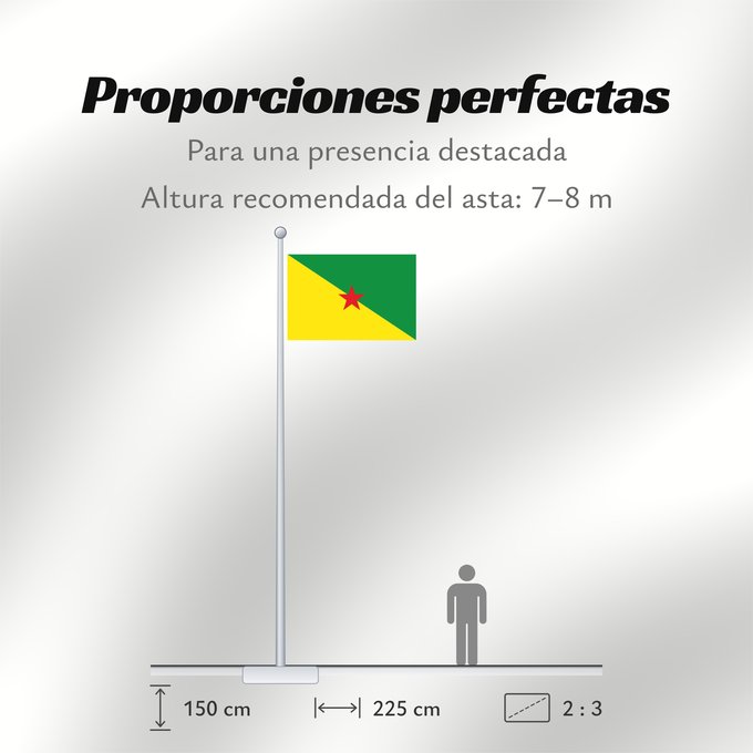 Proporciones de la bandera: French Guiana	Guyane	Guayana Francesa	Französisch-Guayana	Guyana Francese