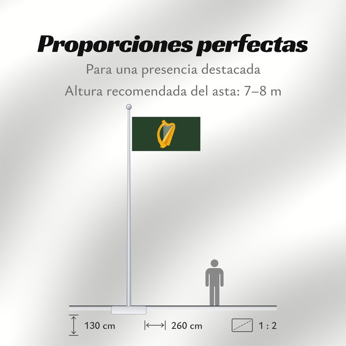 Proporciones de la bandera: Leinster	W Leinster