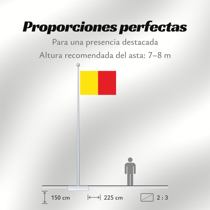 Proporciones de la bandera: Naples	Province of Naples	Province de Naples	Provincia de Naples	Provinz Naples	Napoli