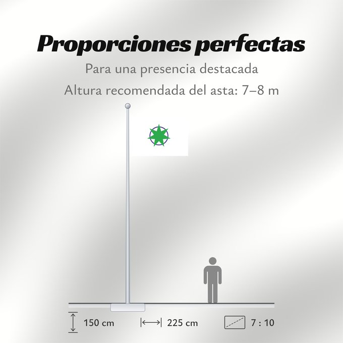 Proporciones de la bandera: Aomori