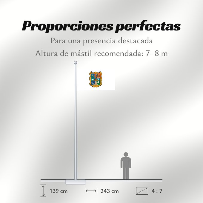 Proporciones de la bandera: Tamaulipas