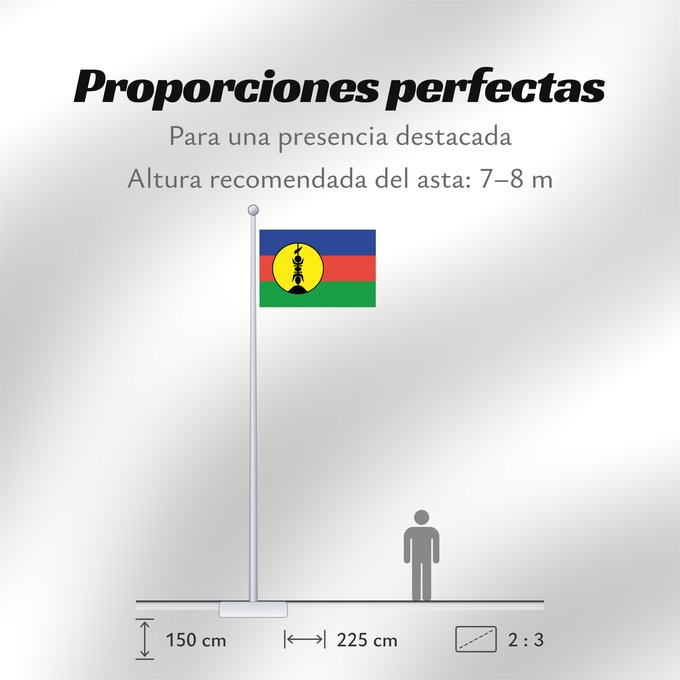Proporciones de la bandera: FLNKS	Kanak and Socialist National Liberation Front political party	Front de libération nationale kanak et socialiste	Colores Pantone http //www	Neukaledonien	Nuova Caledonia	Front d Alliberament Nacional Canac Socialista