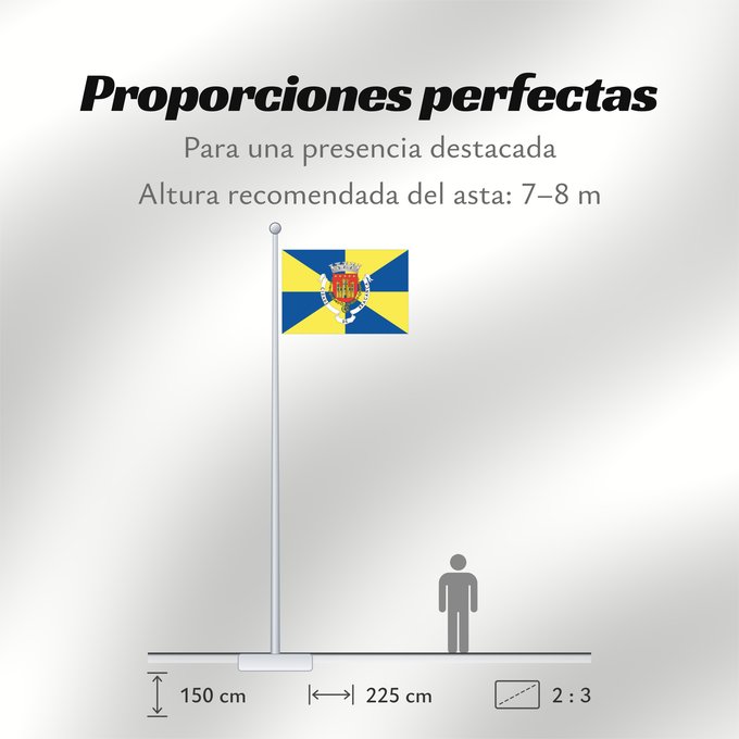 Proporciones de la bandera: Bragança