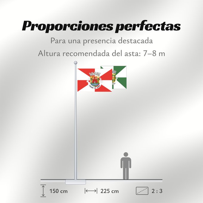 Proporciones de la bandera: Leiria